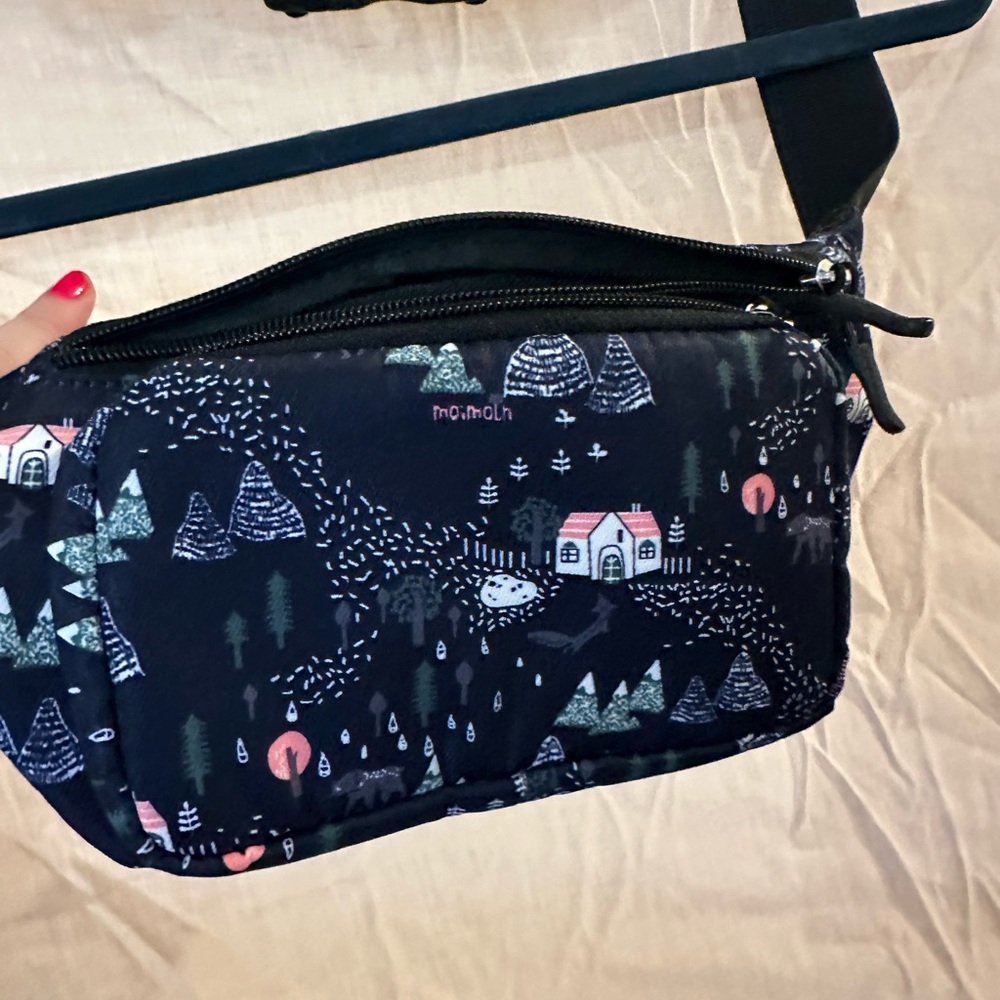 Fannypack
